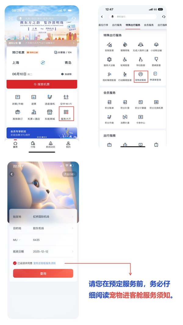 大圣策略 7月1日起东航“宠物进客舱”服务拓展至17条航线，其中上海进出港航线9条