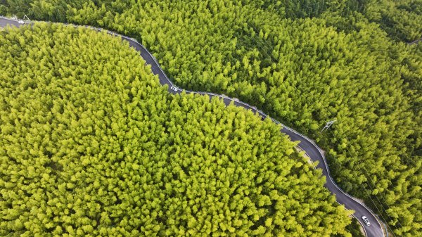 爱策略 浙江磐安：盘山公路蜿蜒风光美