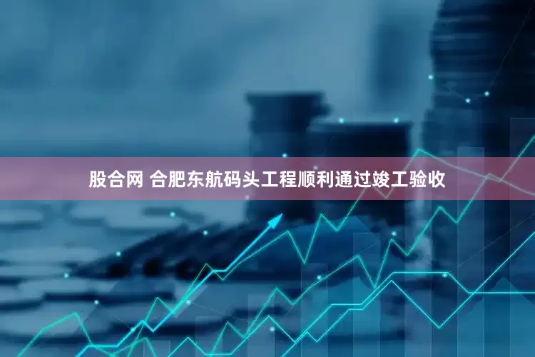 股合网 合肥东航码头工程顺利通过竣工验收